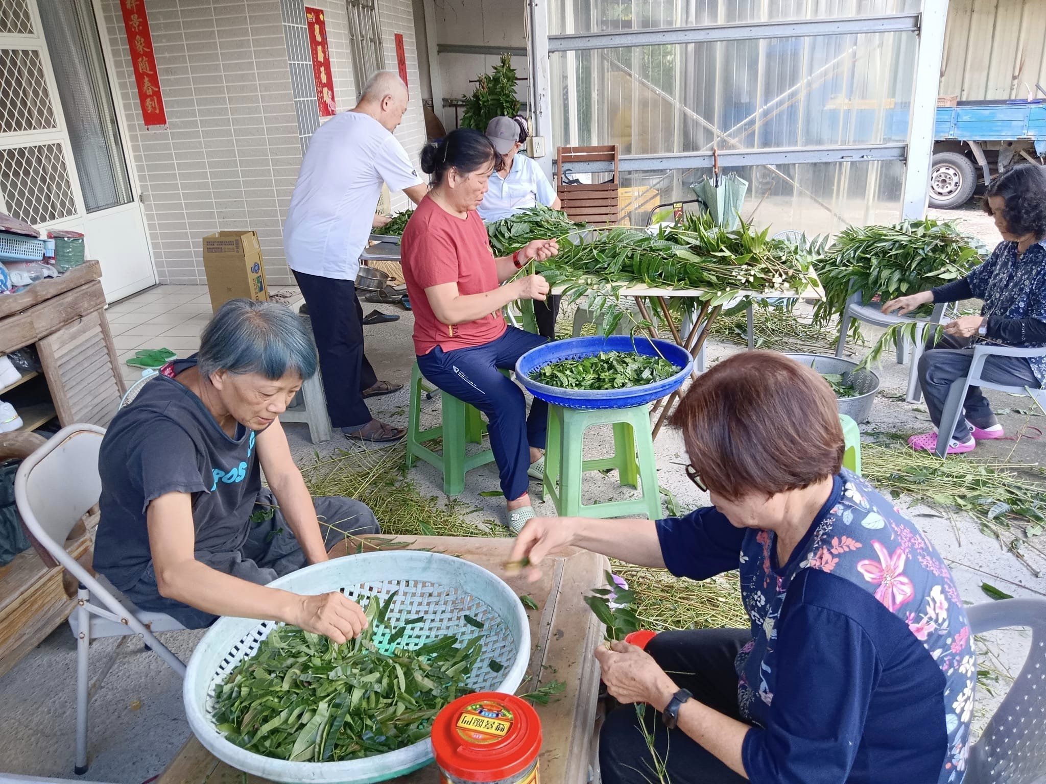 做「香椿醬」，準備馬來西亞北海「九皇齋」義賣水煎包及蘿蔔絲餅配料